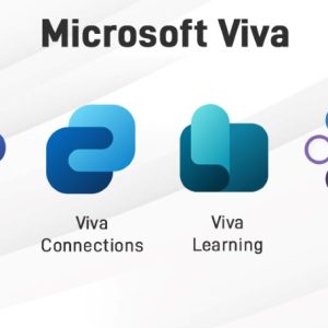 NCE Microsoft Viva Insights Capacity (Non-Profit Pricing)- Monthly Commit