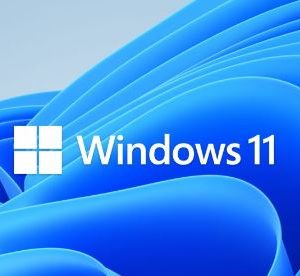 Windows 11 Home N to Pro N Upgrade for Microsoft 365 Business EDU