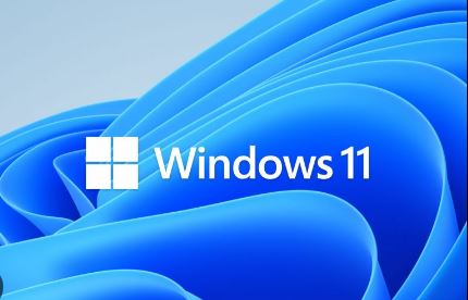 Windows 11 Home N to Pro N Upgrade for Microsoft 365 Business EDU
