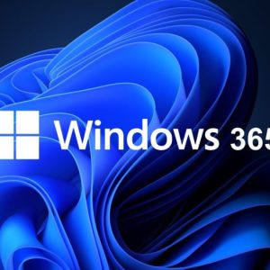 NCE Windows 365 Enterprise 4 vCPU, 16 GB, 512 GB (GCC) Annual Commit